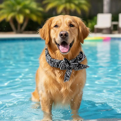 Summer Pet Dogs Cooling Ice Scarf Towel Heatstroke Dogs Cats Ice Scarf Collar Adjustable Cooling Cat Collar Bib Pet Supplies